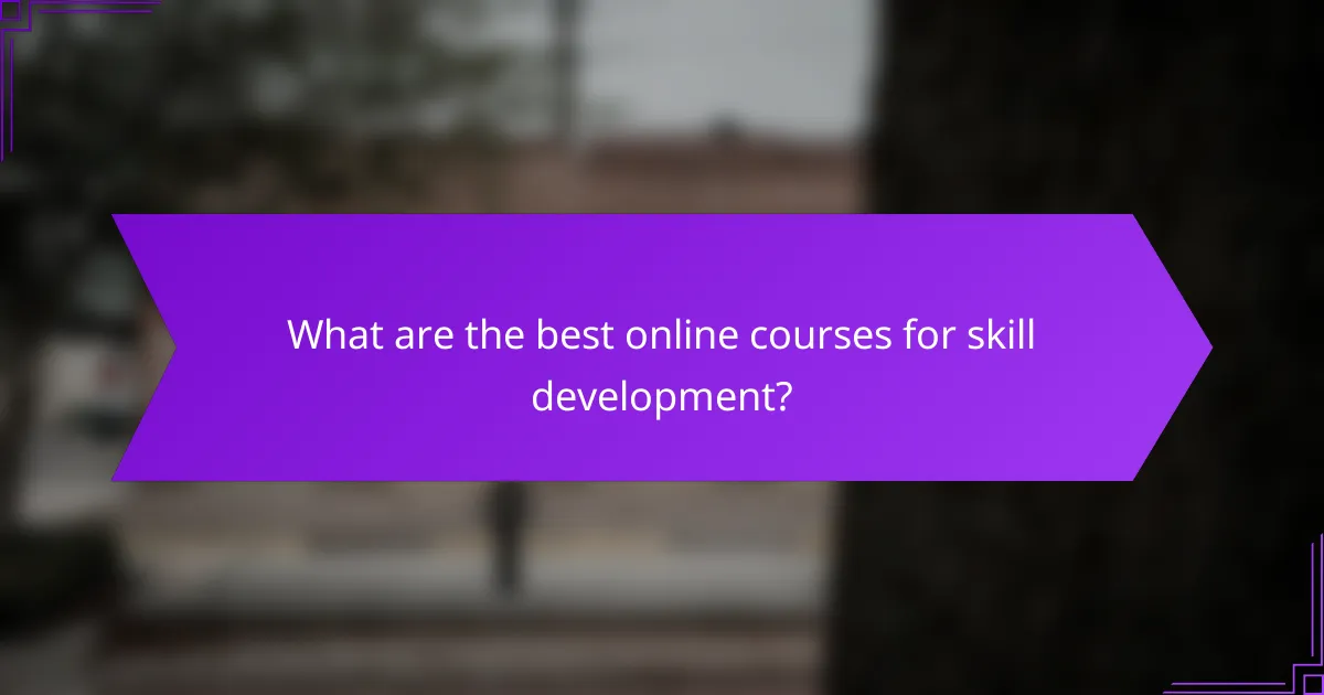 What are the best online courses for skill development?