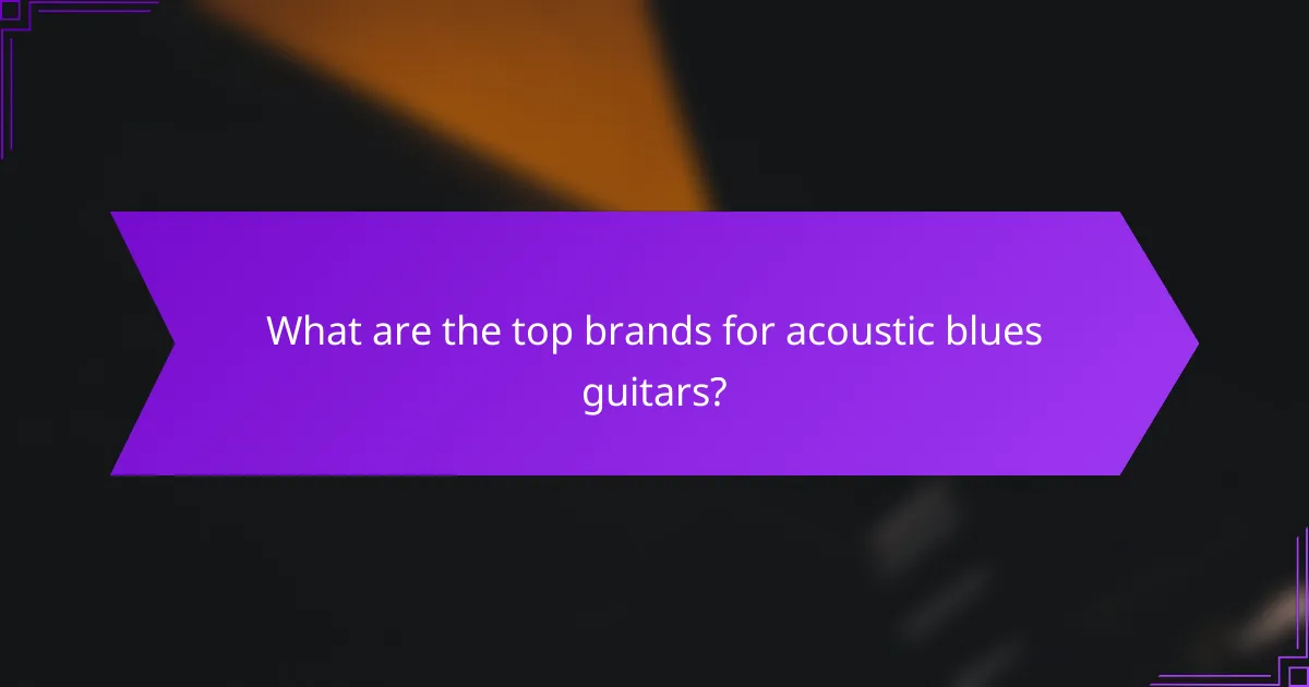 What are the top brands for acoustic blues guitars?